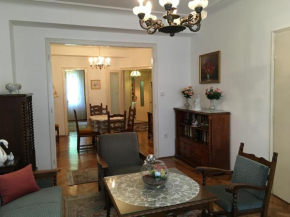 Elegant Apartment
